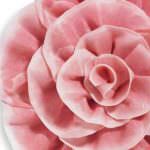 Lo sapevi che... Compra il prosciutto cotto senza polifosfati