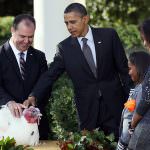 Thanksgiving Day: Obama perdona i tacchini Apple e Cider