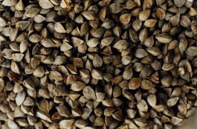 I pizzoccheri sono fatti con grano saraceno, non grano turco o grano del moro