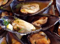 Ancona, dove si pescano i moscioli