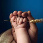 Milano: Secondo Forum Internazionale sull'Alimentazione e la Nutrizione