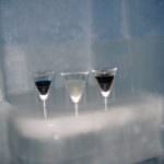 Perchè non immedesimarsi in un clima polare e gustarsi qualche cocktail?