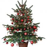 Lettera a Paola: Non c'è più rispetto per chi lavora, e nemmeno per l'Impresa privata