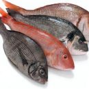 Pesce: Etichettatura corretta by MDC