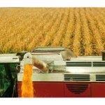 Pioneer annuncia la premiazione di RXGrains come "Innovazione dell'anno 2010"