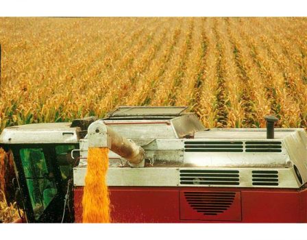 Pioneer annuncia la premiazione di RXGrains come “Innovazione dell’anno 2010”