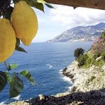 Sorrento, dove si mangia da Borbone