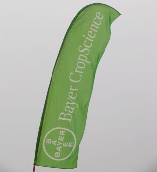 TUTTO POMODORO: oltre 200 giornalisti in Convegno in Sicilia ospiti di Bayer CropScience