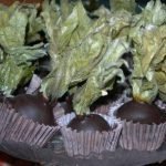 Alchechengi: a Natale, il frutto si tuffa nel cioccolato