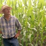 Redditi in calo: Ancora grandi difficoltà per la nostra agricoltura