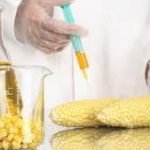 EFSA, una consultazione pubblica per decidere sui nano-cibi