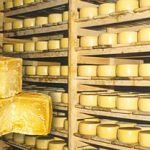 Due mesi di meditazione modellano il cervello