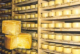 Due mesi di meditazione modellano il cervello