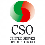 CSO: da 11 anni un ruolo attivo nell'ortofrutta regionale e nazionale