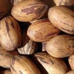 Con le noci pecan cala il colesterolo cattivo