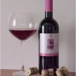 Dai grappoli migliori, un vino per gli ospiti: così nasce il passito Casorzo