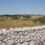 Nella Murgia pugliese, dove il vino nasce dalla roccia