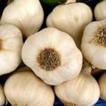 Vessalico, Liguria: qui l'aglio è delicato ma tenace