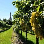 Un matrimonio di gusto tra il Bianco di Custoza DOC e i Tortellini di Valeggio