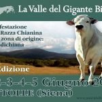Bettolle (SI), convegno: "I saperi e i sapori della legalità dalla Valle del Gigante Bianco alle terre confiscate alle mafie"