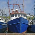 Genova si prepara per la quinta edizione di Slow Fish