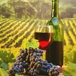 Mondo del Vino 2014:  Vinitaly, tour promo-brand nel Mondo