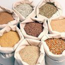 Lo sapevi che… I cereali sono ottimi per il loro valore energetico