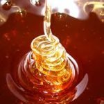 Batteri: il miele di Manuka diminuisce la resistenza ai farmaci