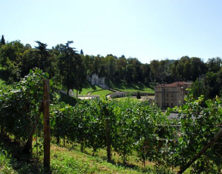 Torino: Presentato il vino degli antichi vigneti di Villa della Regina