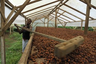 Sao Tomè, il benessere arriva col cacao
