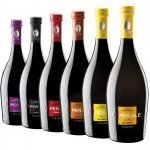 Le birre di alta qualità del Birrificio Collesi