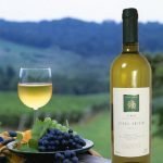 8 strade, tanti vini. La Pedemontana Veneta arriva a Vinitaly