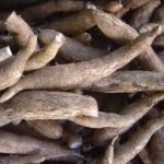 Zeolina, una proteina artificiale per sfamare i Paesi poveri