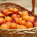 Fondazione Umberto Veronesi, Giro d'Italia: "Albicocche: A come vitamina"