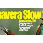 Primavera Slow 2011: Alla scoperta del Parco del Delta del Po e dintorni