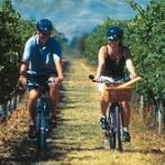 Tra vino e bicicletta, tre vie per scoprire il Trentino