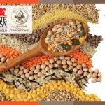 Festa della primavera: ad Atessa, lu lessame, musica e ricordi