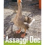 Assaggi Doc: Cinque appuntamenti itineranti nelle cascine intorno a Torino per una combinazione di cibi e documentari