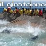 Girotonno, vai in Sardegna col buon tonno