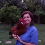 Dai maiali agli alberi, il cibo si adotta a distanza