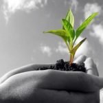 Oggi chiude SANA 2011: soddisfatti espositori, visitatori professionali e organizzatori