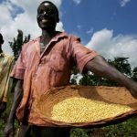 G20, Giuseppe Politi: "Più agricoltura per sfamare il mondo"