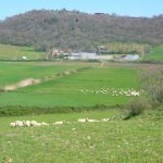 Azienda Agrituristica Acquaranda: Il "caciofiore" della campagna romana