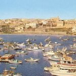 Viaggio didattico a Lampedusa per gli studenti dell'Università di Scienze Gastronomiche di Pollenzo (Cn)