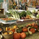 Batterio Killer: Gli italiani sempre più vicini al biologico