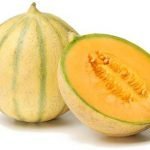 I meloni Igp della Lombardia assaltati dalle nutrie