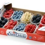 Sant'Orsola incontra i suoi partner commerciali