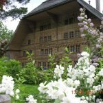 Può accadere in Svizzera: Dalla mancata ascesa al Glacier 3000 alla discesa nella miniera di sale