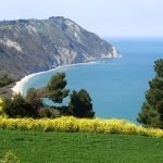 Marche, presto in tavola pane e pasta del Conero