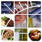 Milano, 31 agosto 2011: Workshop "Food Professional Regulation in EU"